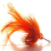Big-eye Tarpon orange