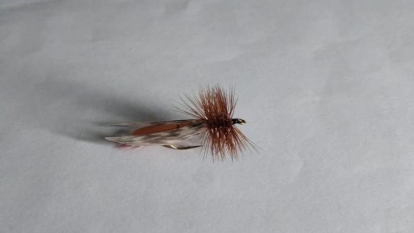 Hopper Orange